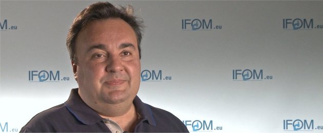 vincenzo costanzo wp