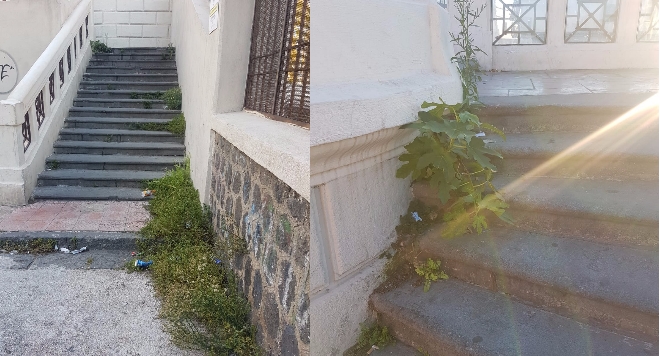 ponte