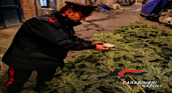 albero galleria 2018