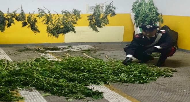 17.10.2019 scafati droga scafo gozzo
