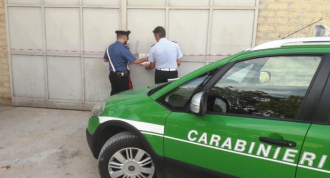 carabinieri ambientali e forestali