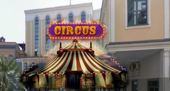 circo politica