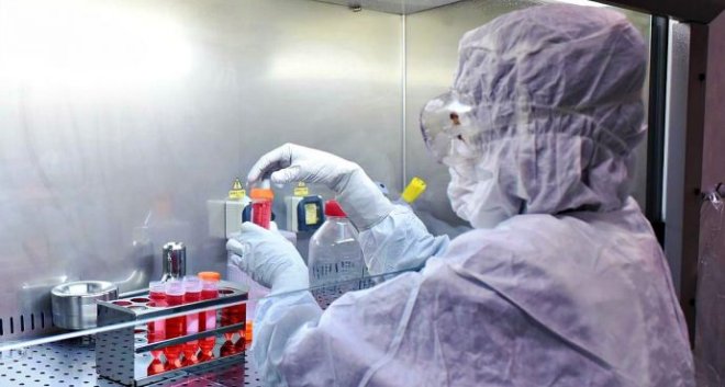 coronavirus