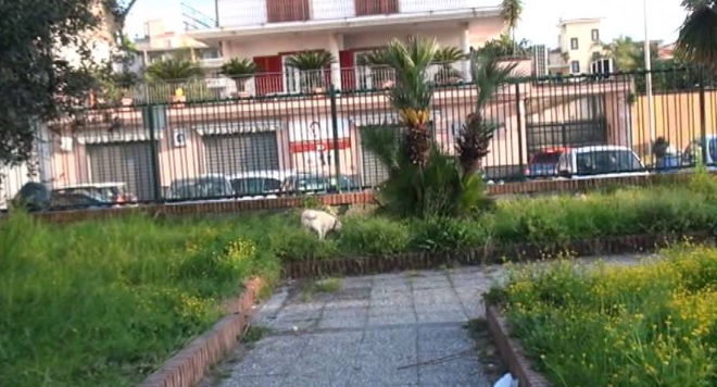 degrado villa comunale