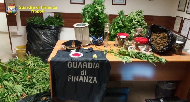 guardia finanza cannabis