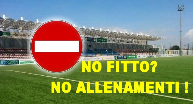 no fitto campo